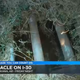 The grate in which the baby was found, waiting to be rescued. Image via KSLA/screengrab)